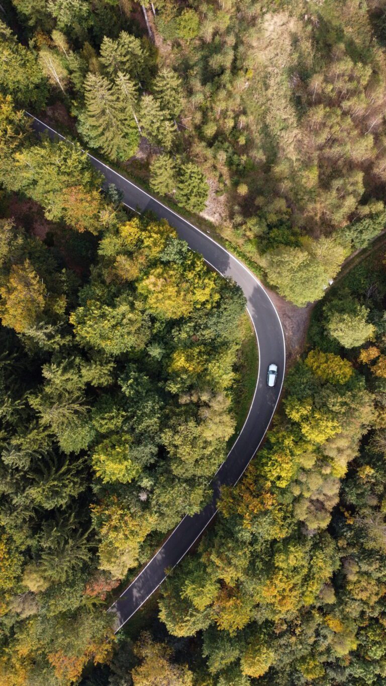 car driving down winding road through a forest