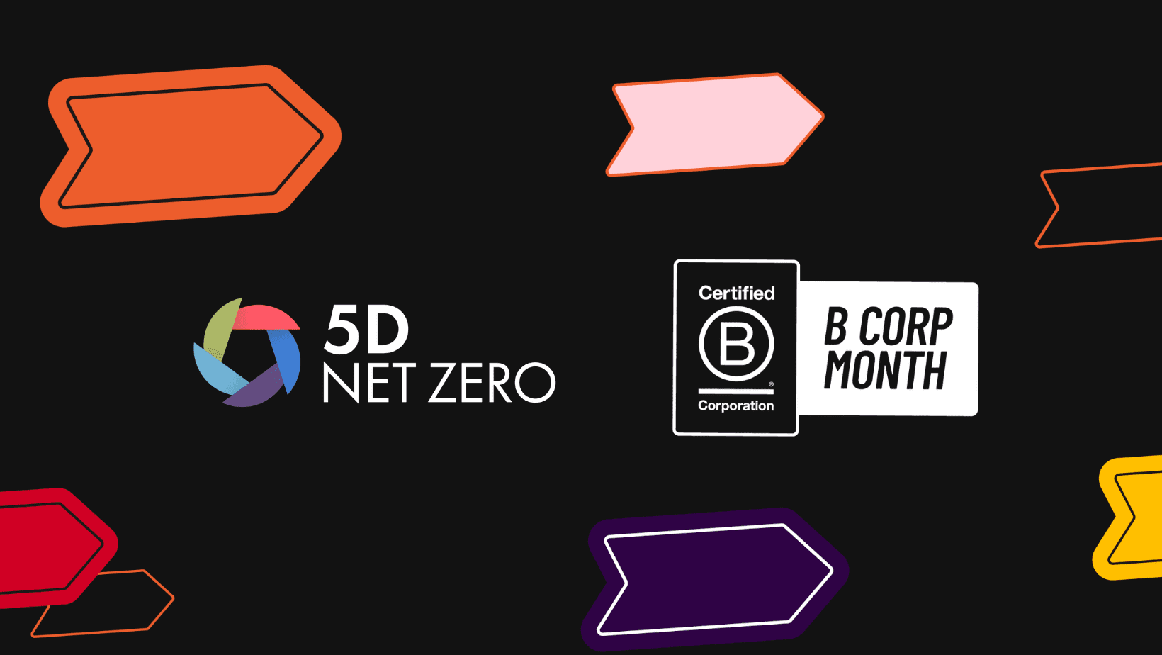 Moving Forward - B Corp Moth 2024