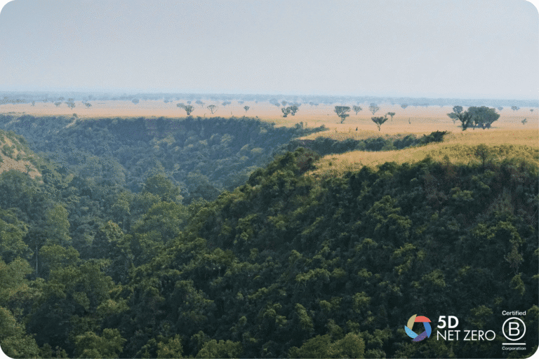 African Landscape representing carbon credits