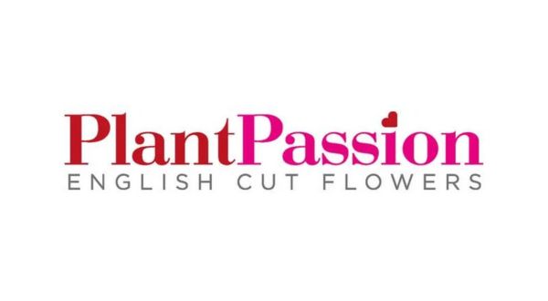 PlantPassion logo with "ENGLISH CUT FLOWERS" written below in grey uppercase letters; the letter "i" in "Passion" is dotted with a heart.